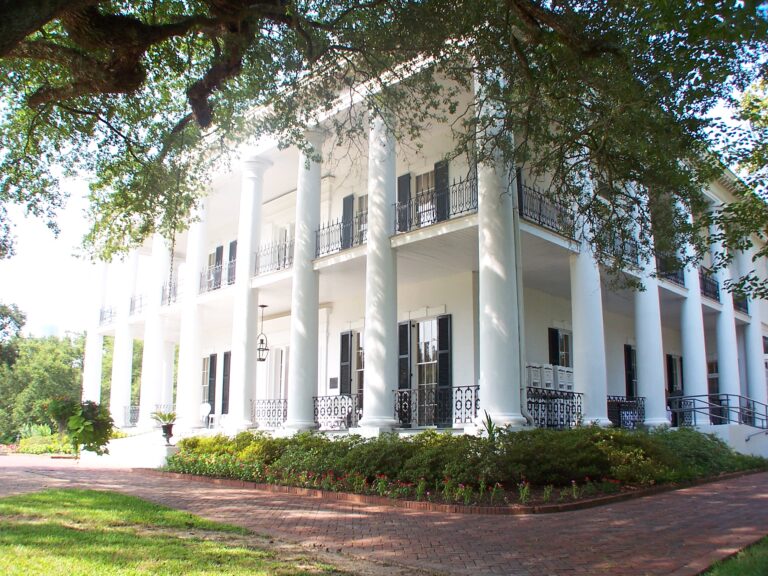 5043784629 2abff69790 o